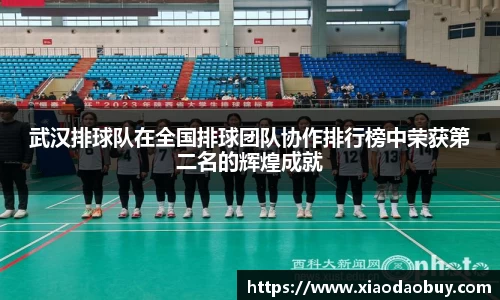 武汉排球队在全国排球团队协作排行榜中荣获第二名的辉煌成就