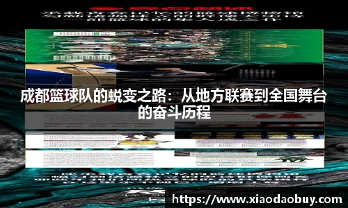 成都篮球队的蜕变之路：从地方联赛到全国舞台的奋斗历程