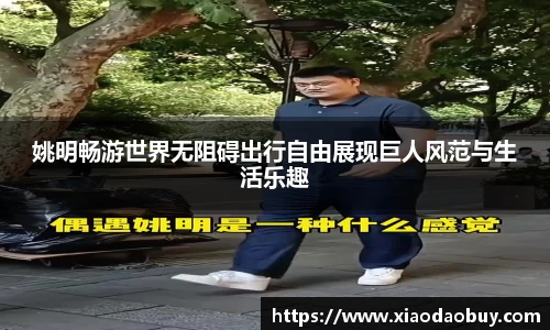 姚明畅游世界无阻碍出行自由展现巨人风范与生活乐趣