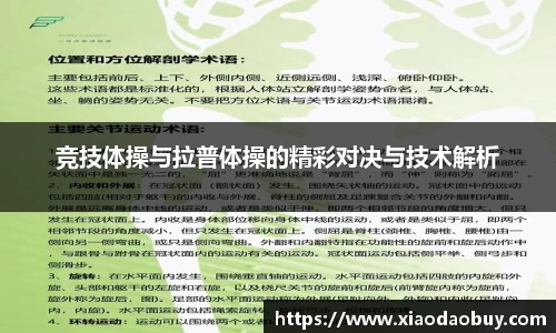 竞技体操与拉普体操的精彩对决与技术解析