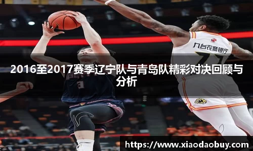 2016至2017赛季辽宁队与青岛队精彩对决回顾与分析